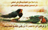 اضغط على الصورة لعرض أكبر. 

الإسم:	zlzal2.gif‏ 
مشاهدات:	731 
الحجم:	63.7 كيلوبايت 
الهوية:	537